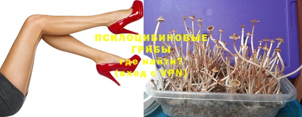 прущий лед Дмитров