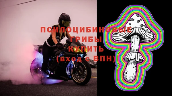 амф Дмитровск