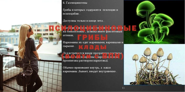 меф VHQ Дмитриев