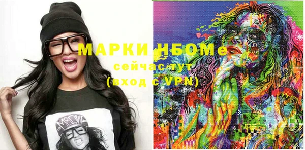стаф Ельня