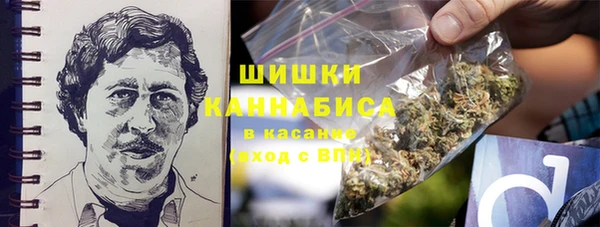 мдпв Костерёво